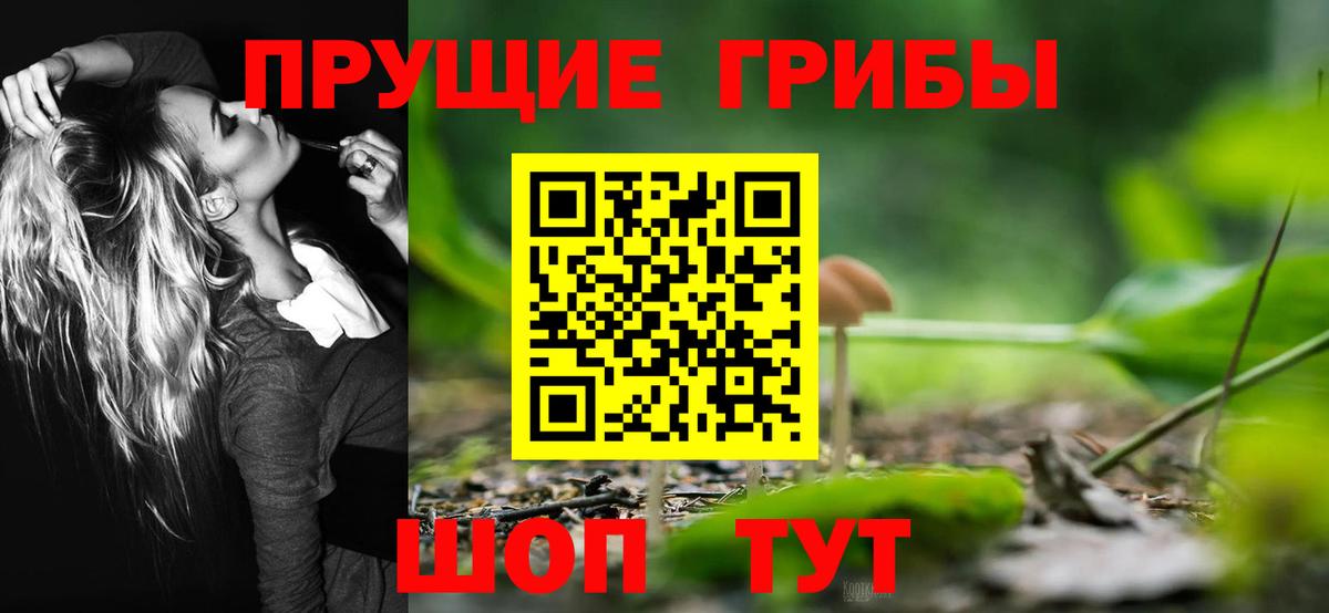 Галлюциногенные грибы Magic Shrooms  Вход с VPN  Киселёвск 