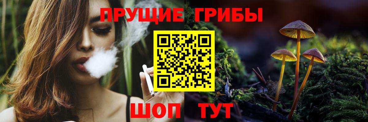 Бутират Киселёвск