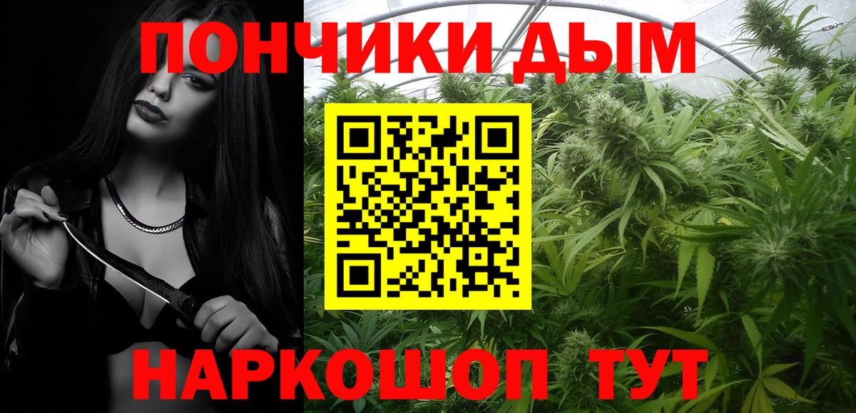 Каннабис план Киселёвск